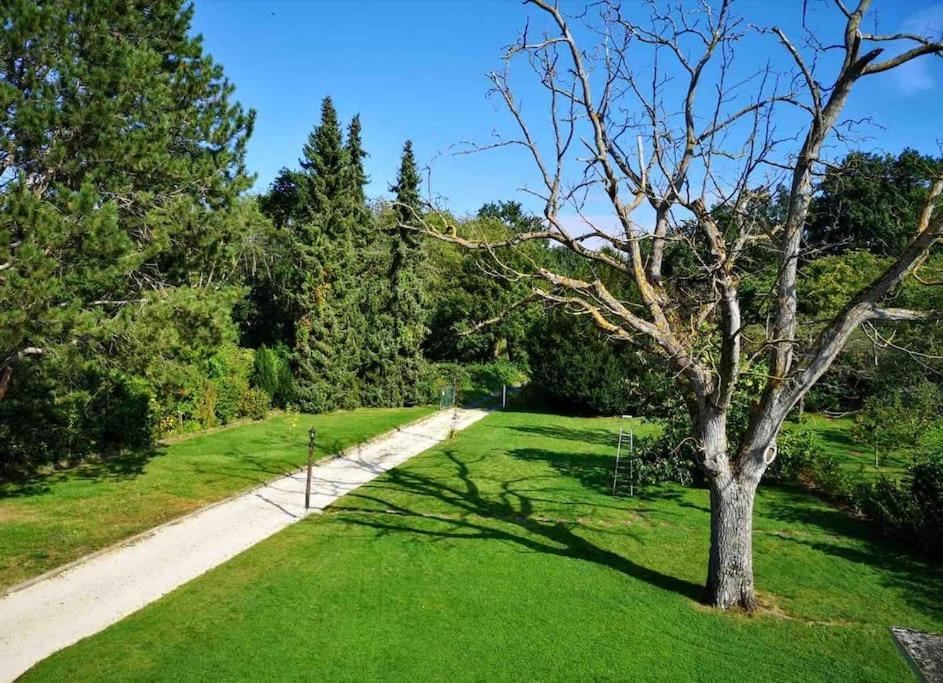 Ueber Den Daechern Von Koblenz - Aussichts-Wohnung Naturpark Rheinblick, Ruhig, Zentrumsnah, Sport-Pool Exterior photo
